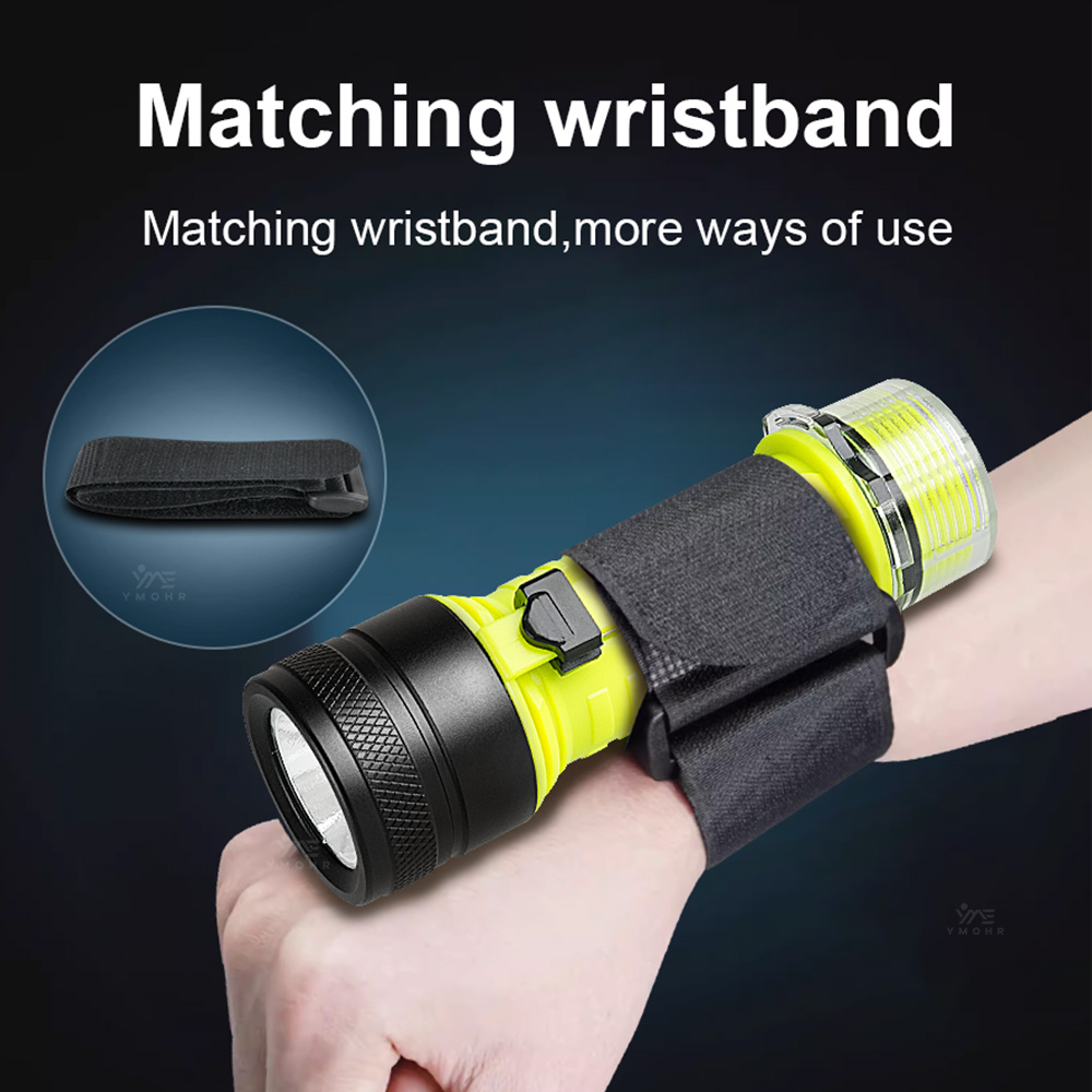 New Portable Professional LED  - Fishing Light 评论和价格