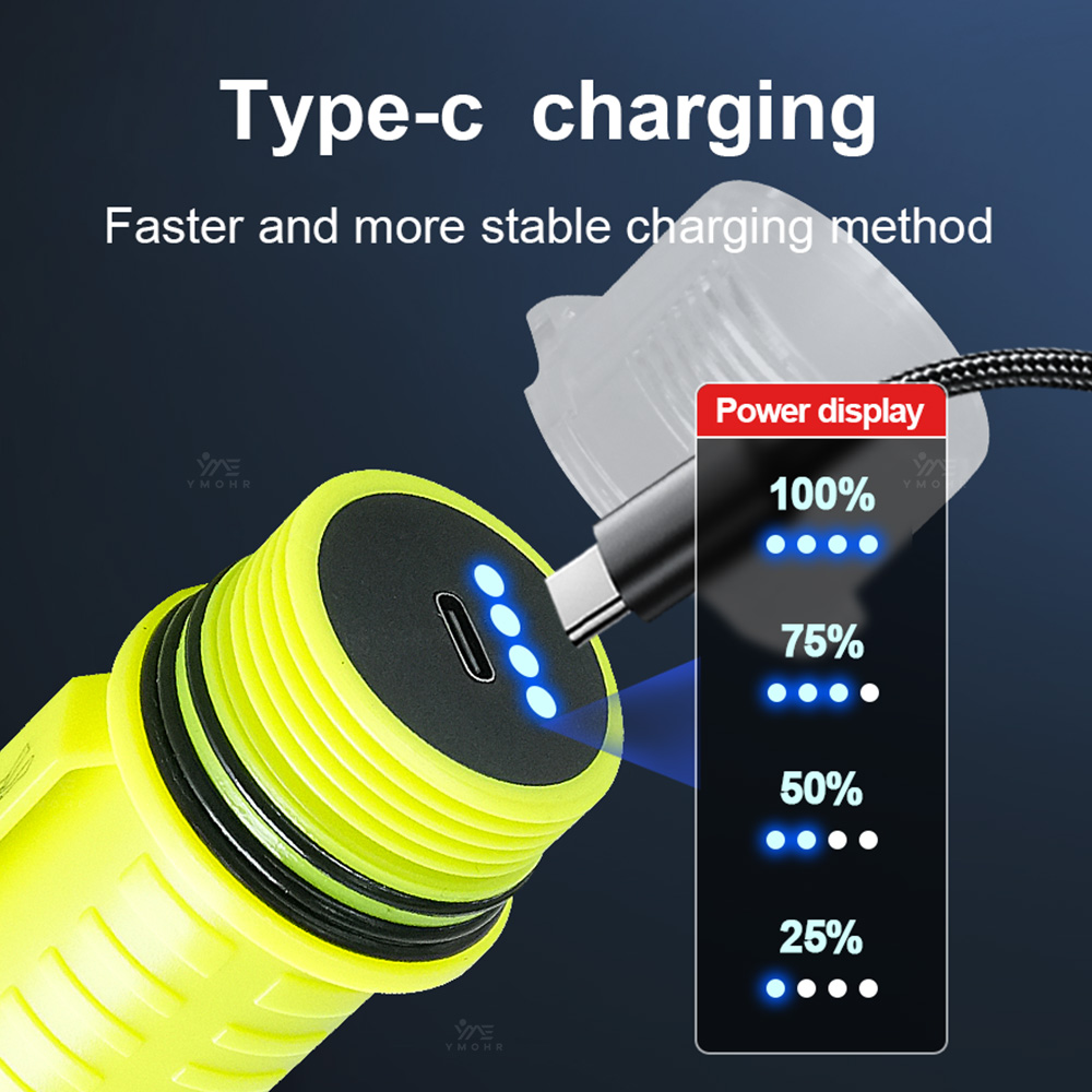 New Portable Professional LED  - Fishing Light 评论和价格